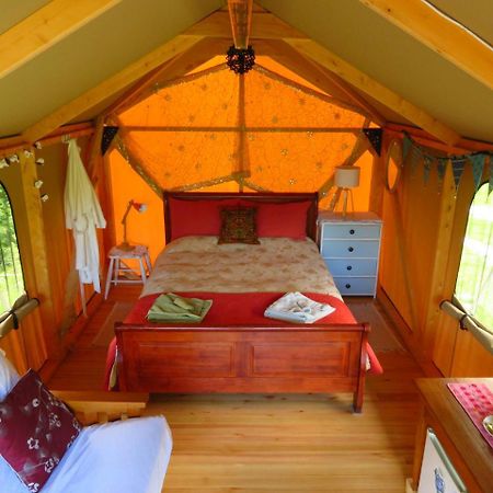 Omarama Oasis - Permaculture Glamping Hotell Pohara Exteriör bild
