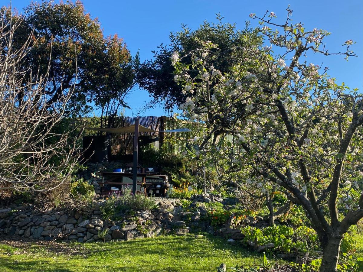Omarama Oasis - Permaculture Glamping Hotell Pohara Exteriör bild