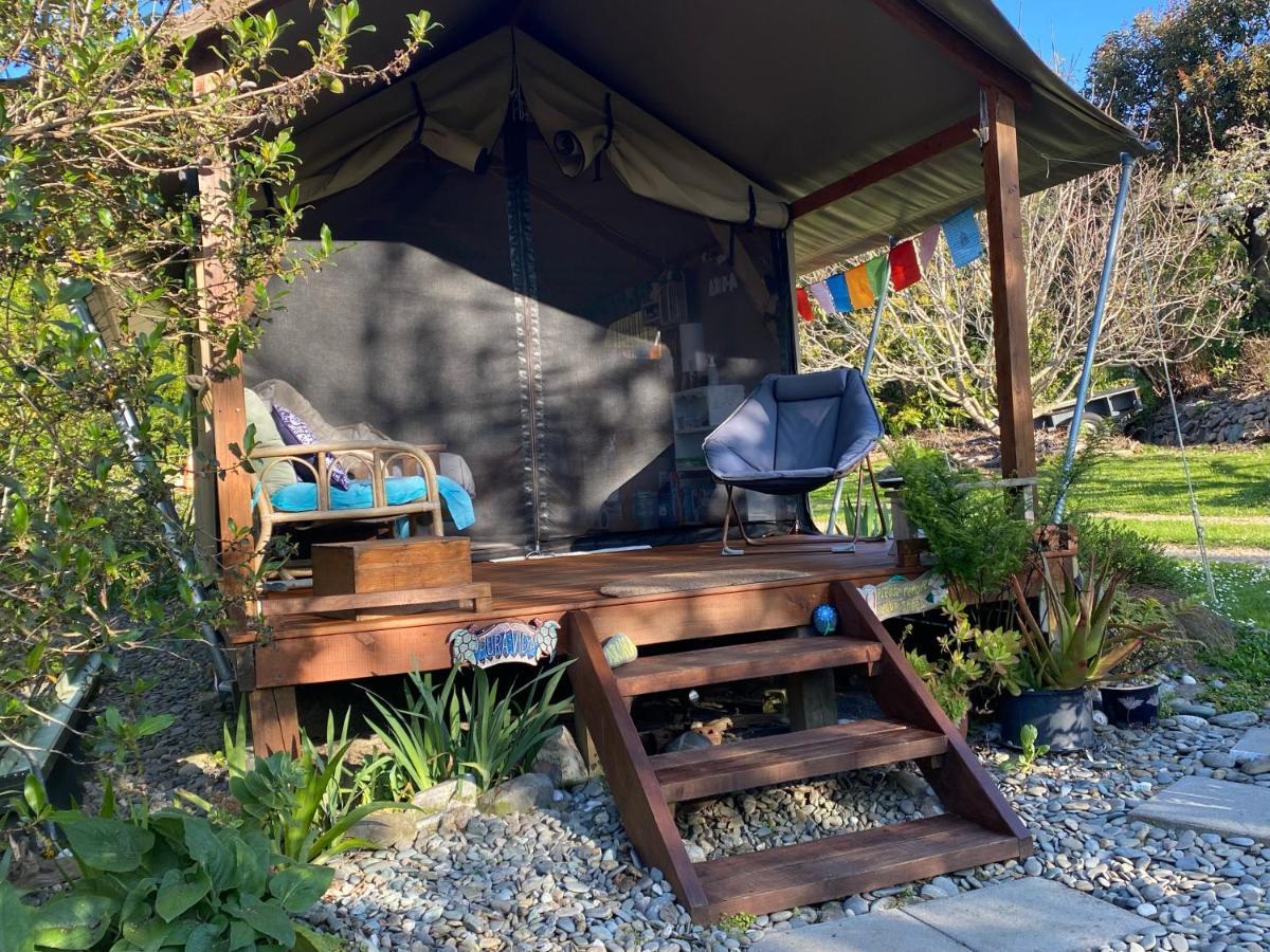 Omarama Oasis - Permaculture Glamping Hotell Pohara Exteriör bild